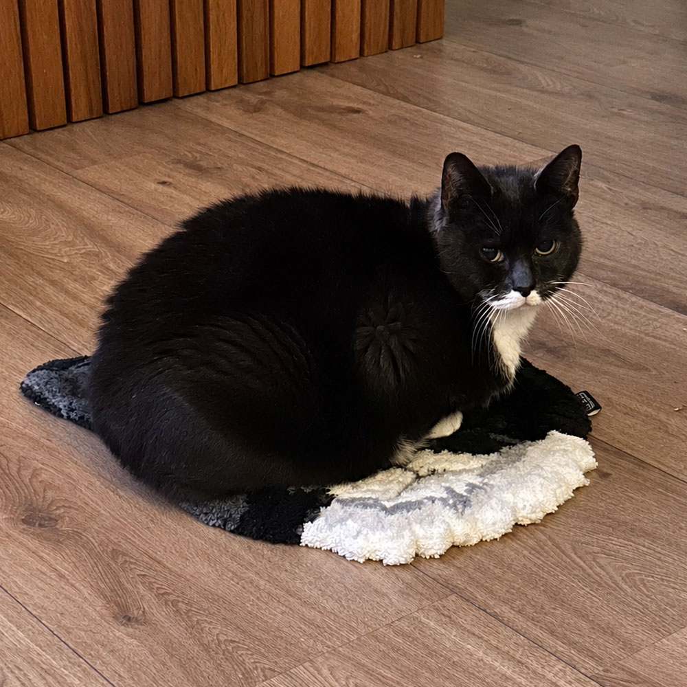 custom tufted cat rug